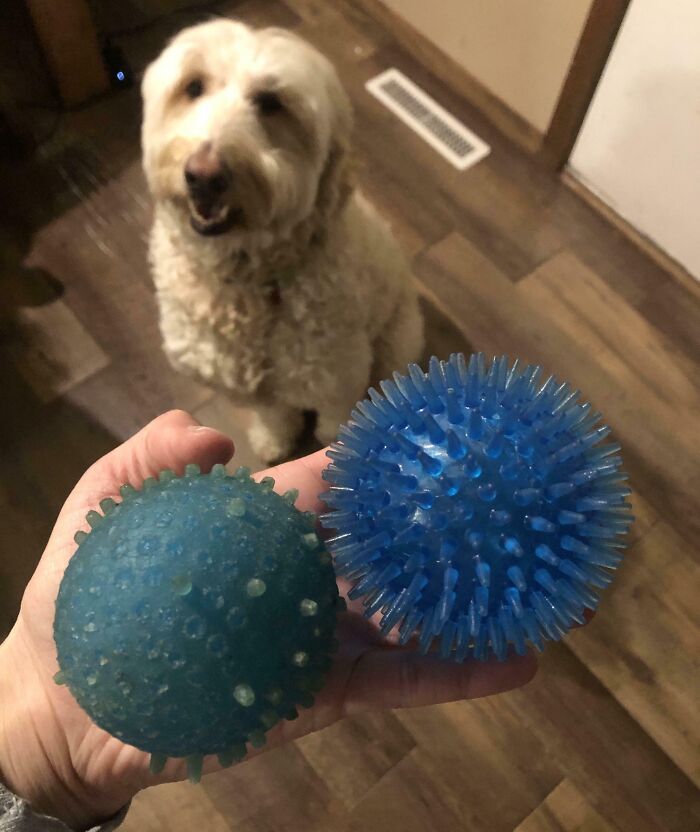 48 Side-By-Side Comparisons That Put The World Into Perspective (New Pics)