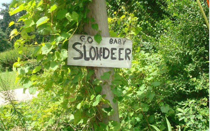 81 Times People Didn&rsquo;t Think Their Message Layout Through And It Resulted In These Fails (New Pics)