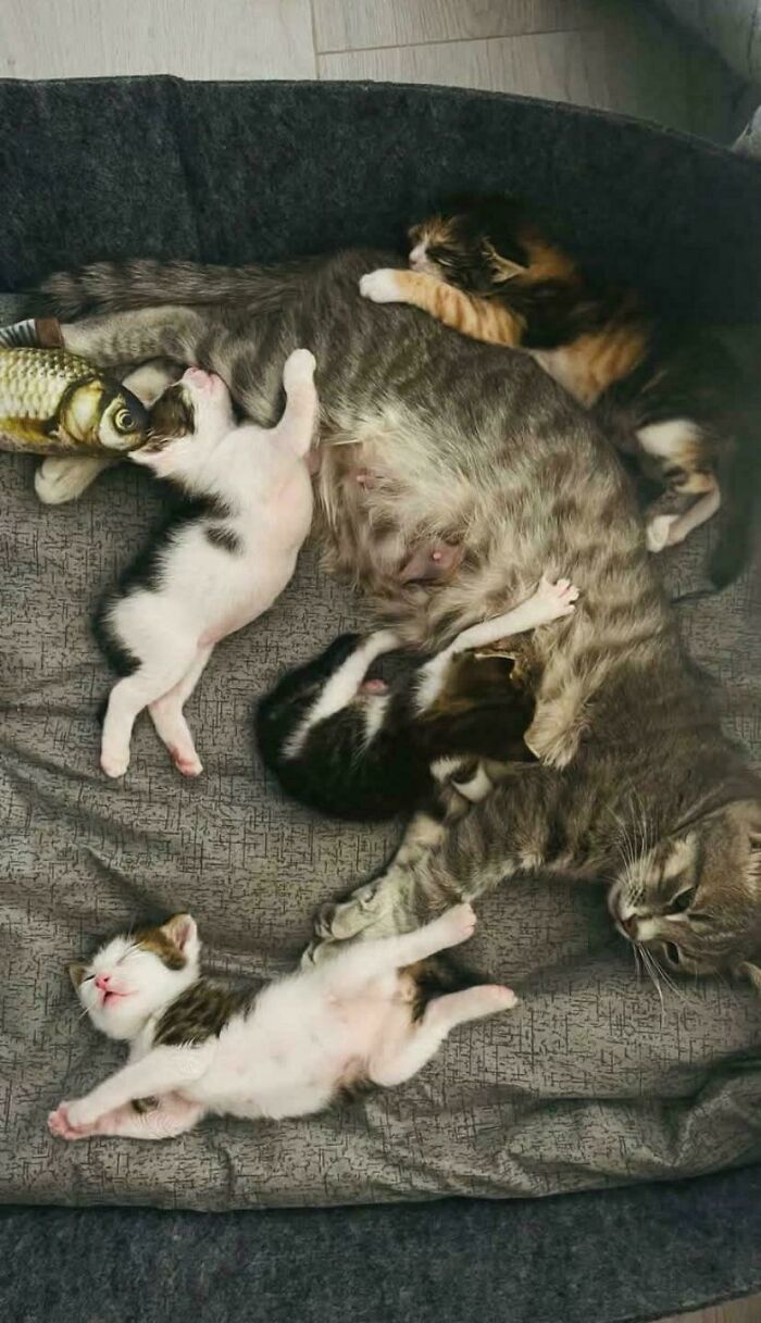 85 Accidental Renaissance Photos That Look Like They Belong In An Art Gallery (New Pics)