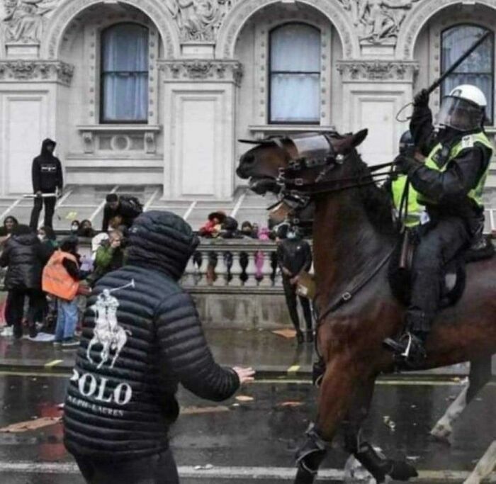 85 Accidental Renaissance Photos That Look Like They Belong In An Art Gallery (New Pics)