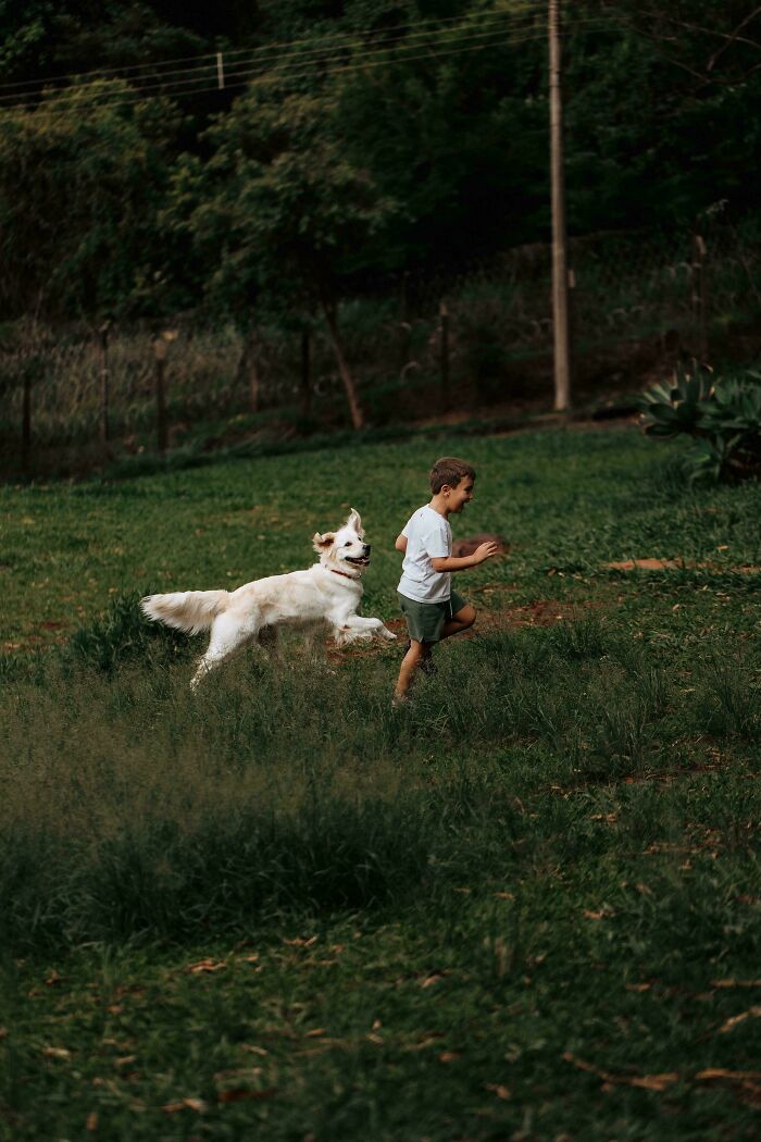 85 Accidental Renaissance Photos That Look Like They Belong In An Art Gallery (New Pics)