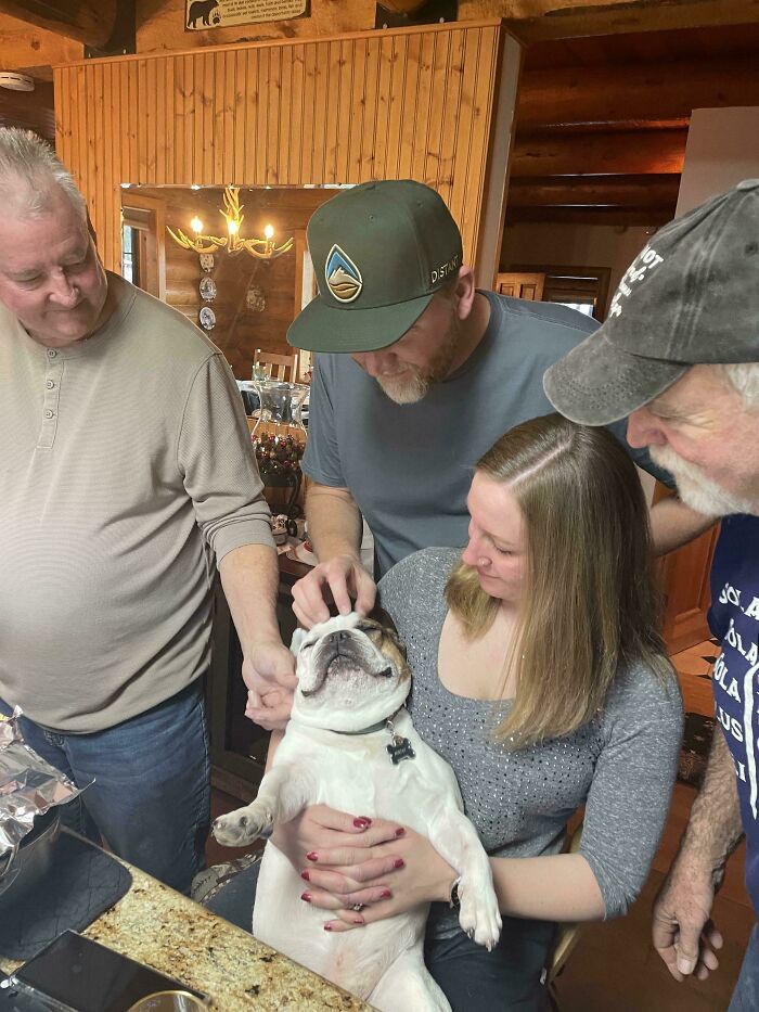 85 Accidental Renaissance Photos That Look Like They Belong In An Art Gallery (New Pics)