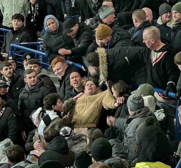 85 Accidental Renaissance Photos That Look Like They Belong In An Art Gallery (New Pics)