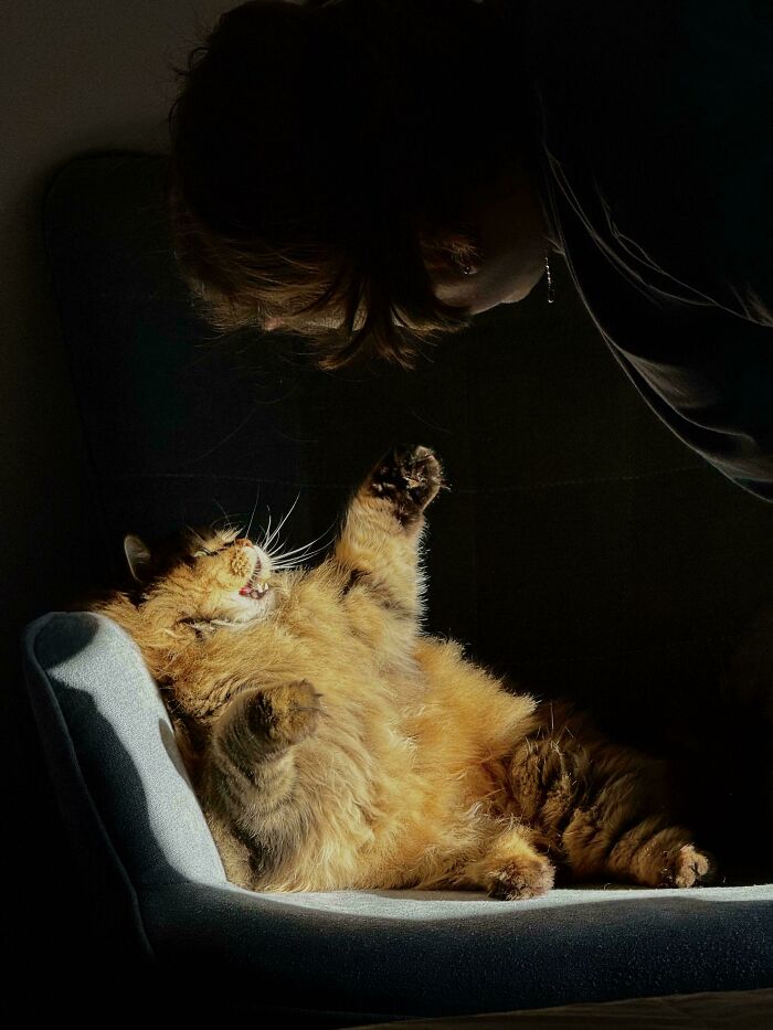 85 Accidental Renaissance Photos That Look Like They Belong In An Art Gallery (New Pics)