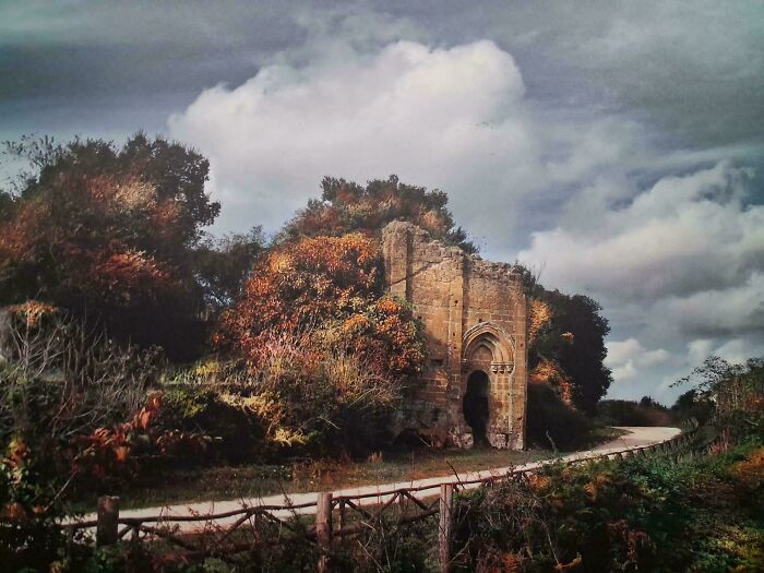 85 Accidental Renaissance Photos That Look Like They Belong In An Art Gallery (New Pics)