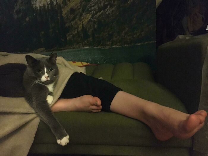 85 Accidental Renaissance Photos That Look Like They Belong In An Art Gallery (New Pics)