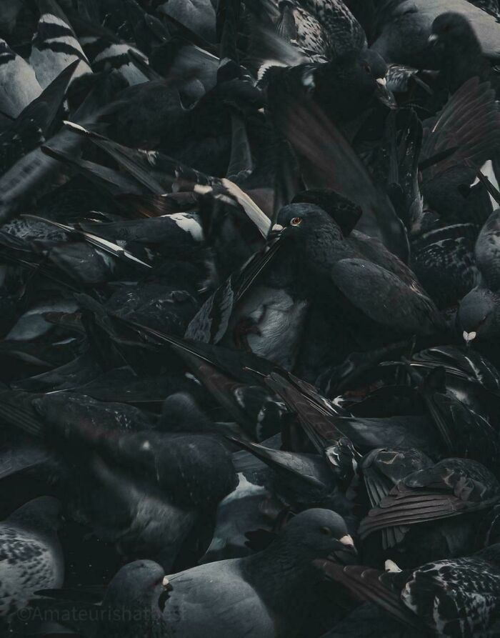 85 Accidental Renaissance Photos That Look Like They Belong In An Art Gallery (New Pics)