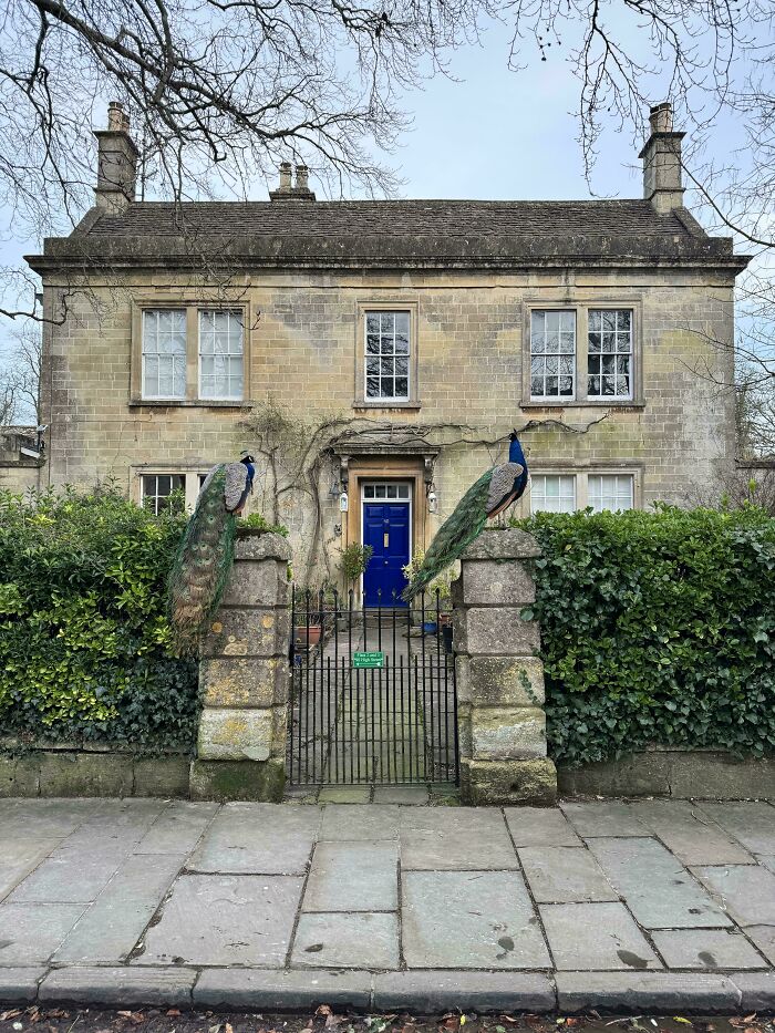 85 Accidental Renaissance Photos That Look Like They Belong In An Art Gallery (New Pics)