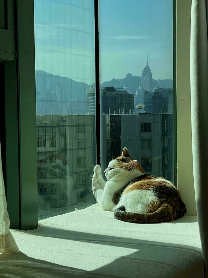 85 Accidental Renaissance Photos That Look Like They Belong In An Art Gallery (New Pics)