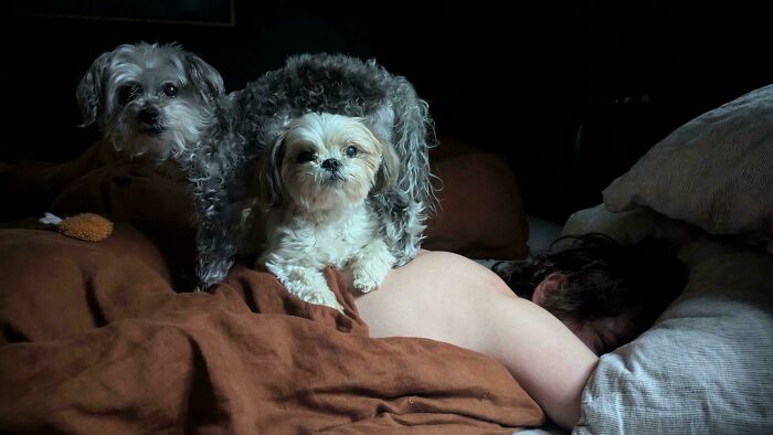 85 Accidental Renaissance Photos That Look Like They Belong In An Art Gallery (New Pics)