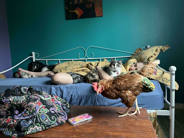 85 Accidental Renaissance Photos That Look Like They Belong In An Art Gallery (New Pics)