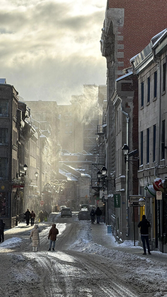 85 Accidental Renaissance Photos That Look Like They Belong In An Art Gallery (New Pics)