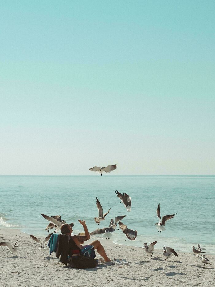 85 Accidental Renaissance Photos That Look Like They Belong In An Art Gallery (New Pics)