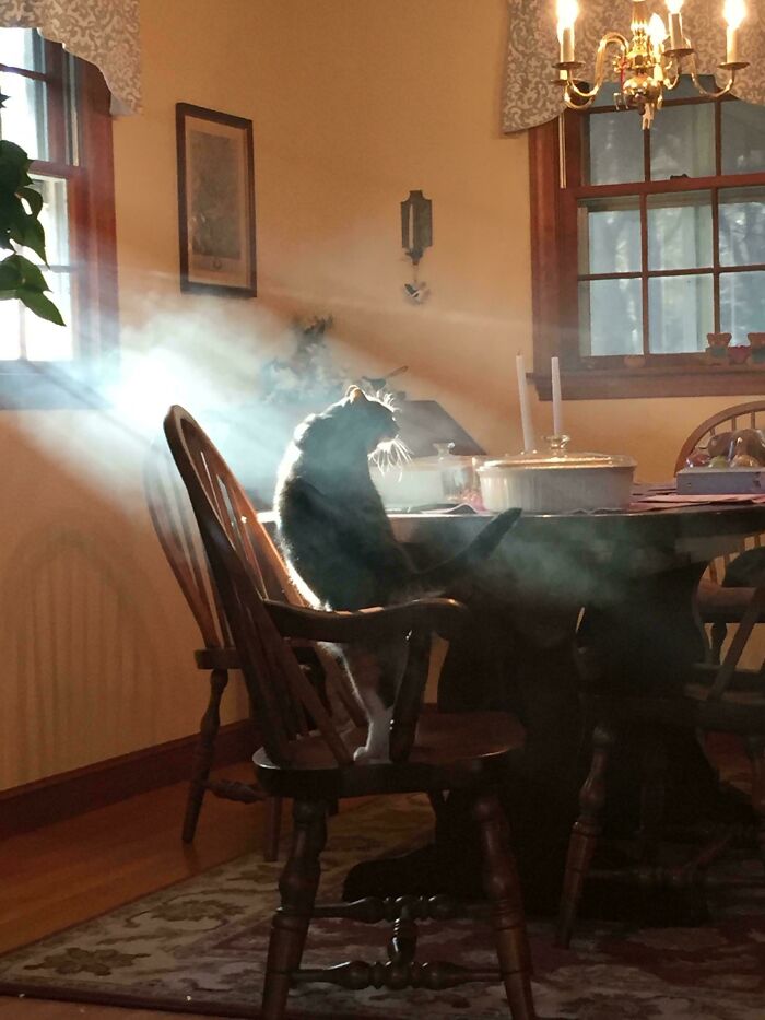 85 Accidental Renaissance Photos That Look Like They Belong In An Art Gallery (New Pics)