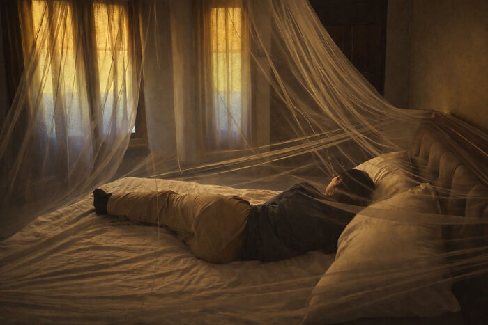 85 Accidental Renaissance Photos That Look Like They Belong In An Art Gallery (New Pics)