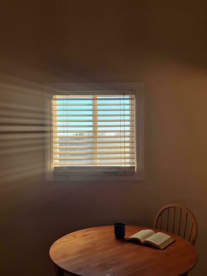 85 Accidental Renaissance Photos That Look Like They Belong In An Art Gallery (New Pics)