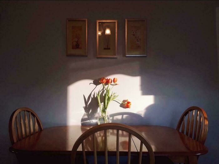 85 Accidental Renaissance Photos That Look Like They Belong In An Art Gallery (New Pics)