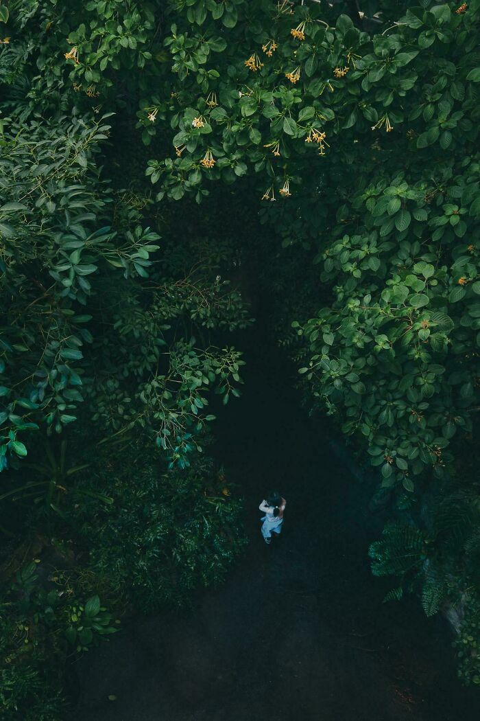 85 Accidental Renaissance Photos That Look Like They Belong In An Art Gallery (New Pics)