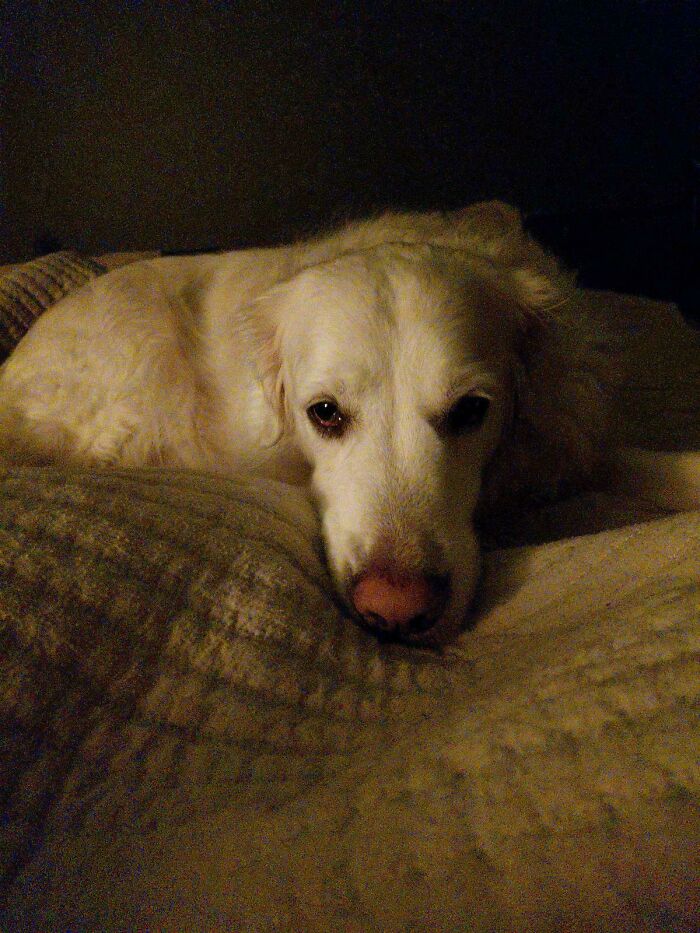 85 Accidental Renaissance Photos That Look Like They Belong In An Art Gallery (New Pics)