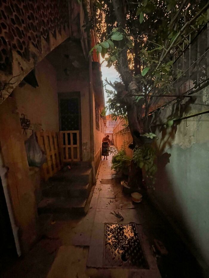 85 Accidental Renaissance Photos That Look Like They Belong In An Art Gallery (New Pics)