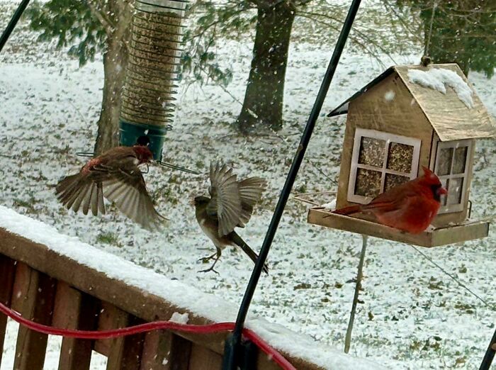 85 Accidental Renaissance Photos That Look Like They Belong In An Art Gallery (New Pics)