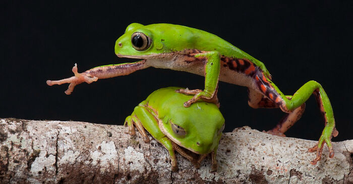 85 Accidental Renaissance Photos That Look Like They Belong In An Art Gallery (New Pics)