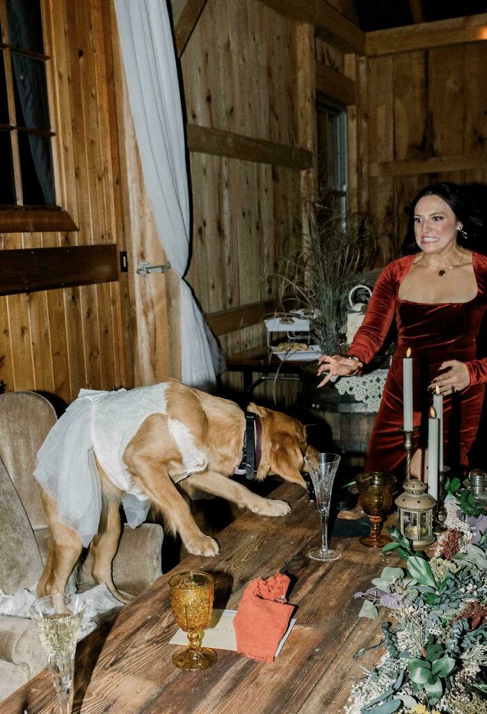 85 Accidental Renaissance Photos That Look Like They Belong In An Art Gallery (New Pics)