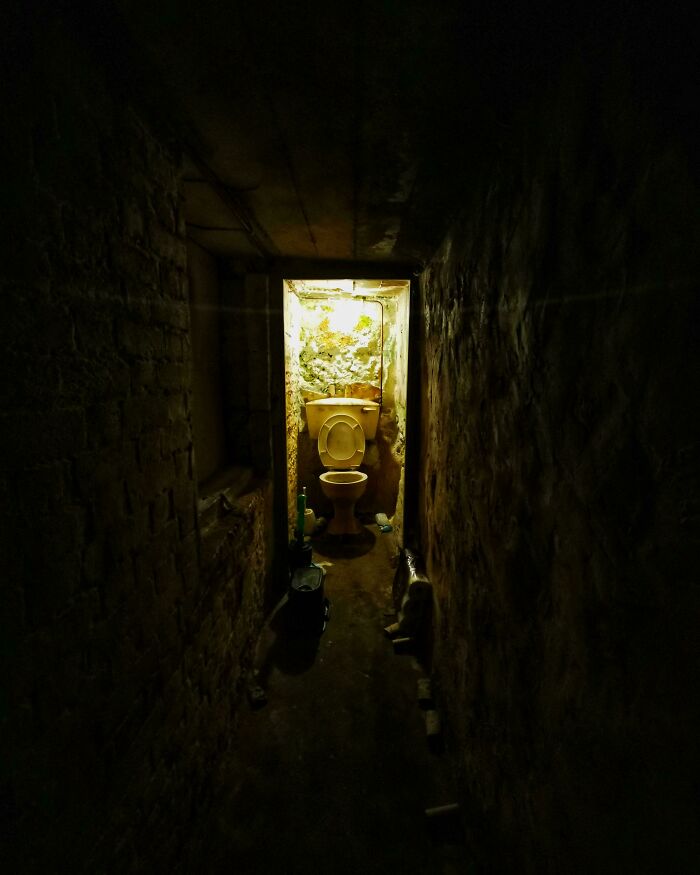 85 Accidental Renaissance Photos That Look Like They Belong In An Art Gallery (New Pics)