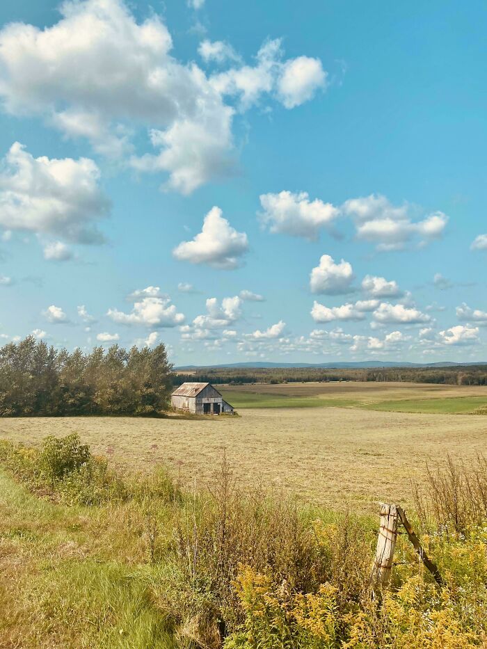 85 Accidental Renaissance Photos That Look Like They Belong In An Art Gallery (New Pics)