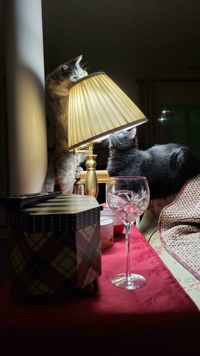 85 Accidental Renaissance Photos That Look Like They Belong In An Art Gallery (New Pics)