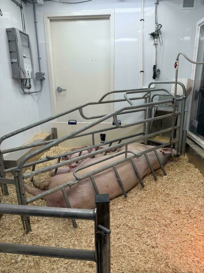 These 75 Screenshots Show How Dystopic Our Society Already Is, And It’s Terrifying (New Pics)