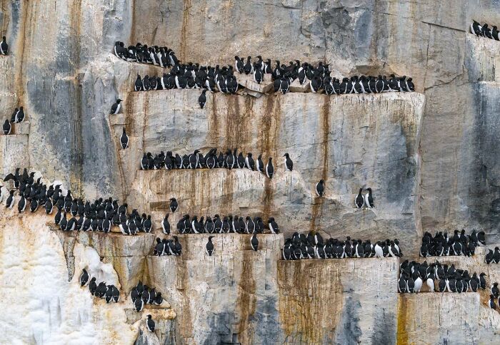 20 Stunning Winning Photos From The GDT Nature Photographer Of The Year 2026