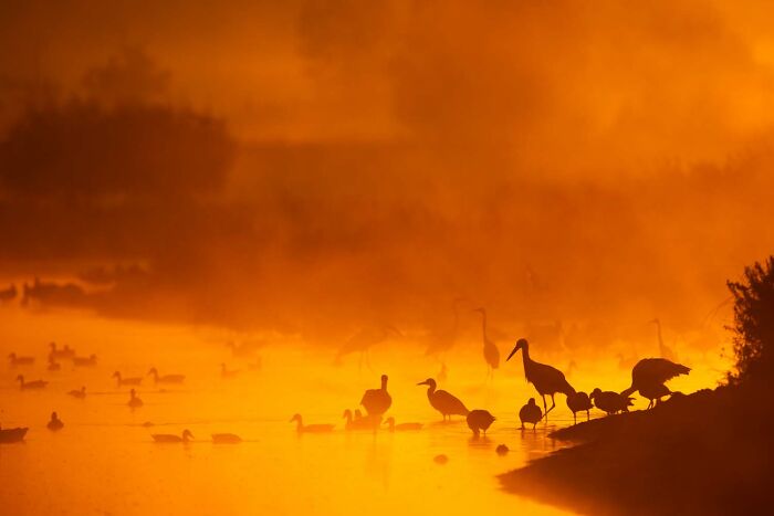 20 Stunning Winning Photos From The GDT Nature Photographer Of The Year 2026