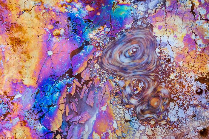 20 Stunning Winning Photos From The GDT Nature Photographer Of The Year 2026