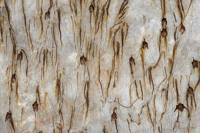 20 Stunning Winning Photos From The GDT Nature Photographer Of The Year 2026