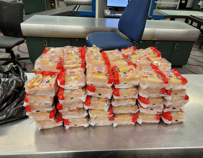 US Customs K-9 Beagle Becomes Viral Sensation After Catching Passenger With 100 Sandwiches