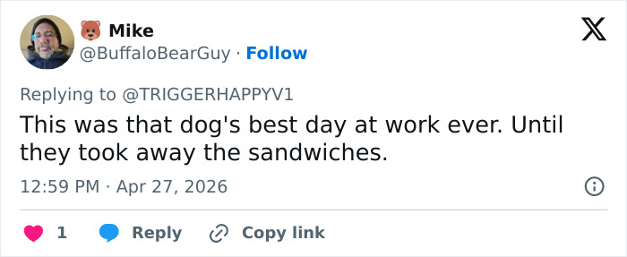 US Customs K-9 Beagle Becomes Viral Sensation After Catching Passenger With 100 Sandwiches