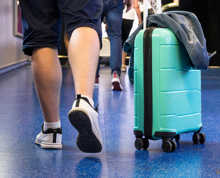 US Customs K-9 Beagle Becomes Viral Sensation After Catching Passenger With 100 Sandwiches