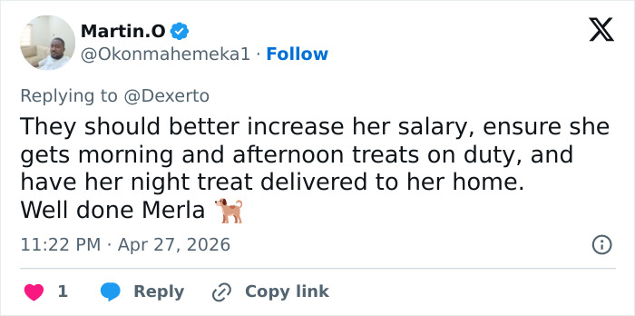 US Customs K-9 Beagle Becomes Viral Sensation After Catching Passenger With 100 Sandwiches