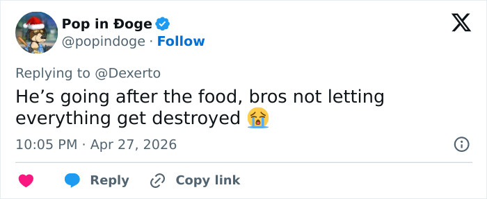 US Customs K-9 Beagle Becomes Viral Sensation After Catching Passenger With 100 Sandwiches