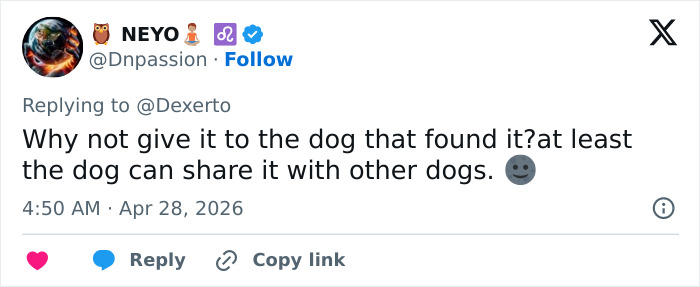 US Customs K-9 Beagle Becomes Viral Sensation After Catching Passenger With 100 Sandwiches