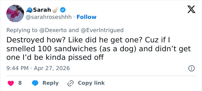 US Customs K-9 Beagle Becomes Viral Sensation After Catching Passenger With 100 Sandwiches