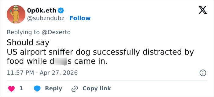 US Customs K-9 Beagle Becomes Viral Sensation After Catching Passenger With 100 Sandwiches