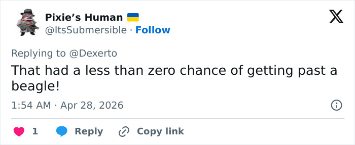 US Customs K-9 Beagle Becomes Viral Sensation After Catching Passenger With 100 Sandwiches