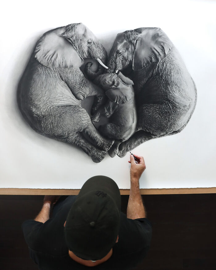 20 Stunning Charcoal Drawings Of Animals Created By A Father-Daughter Duo