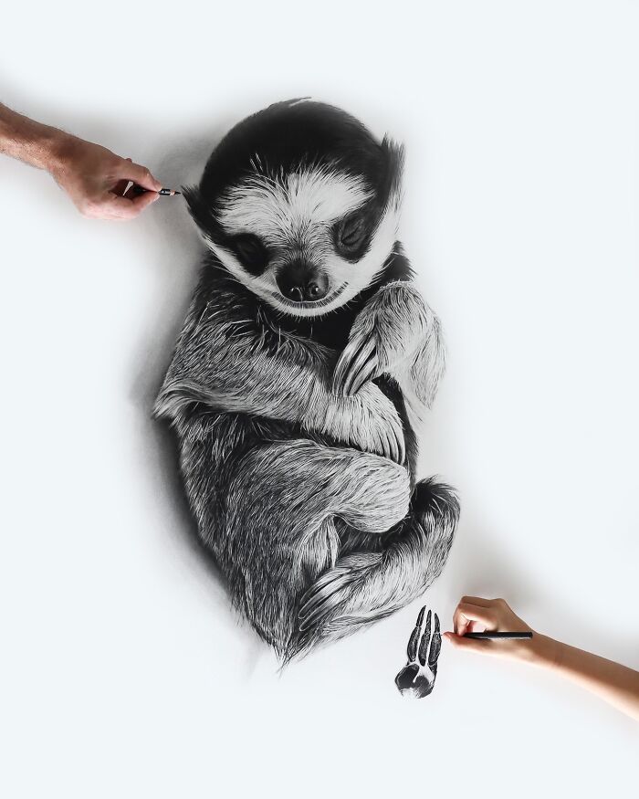 20 Stunning Charcoal Drawings Of Animals Created By A Father-Daughter Duo