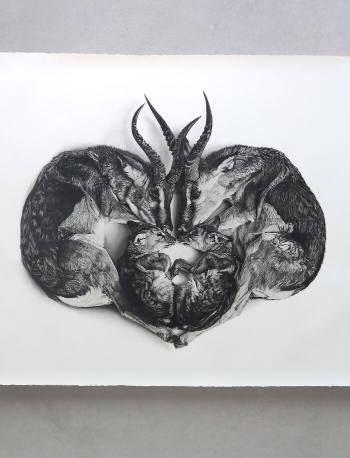 20 Stunning Charcoal Drawings Of Animals Created By A Father-Daughter Duo