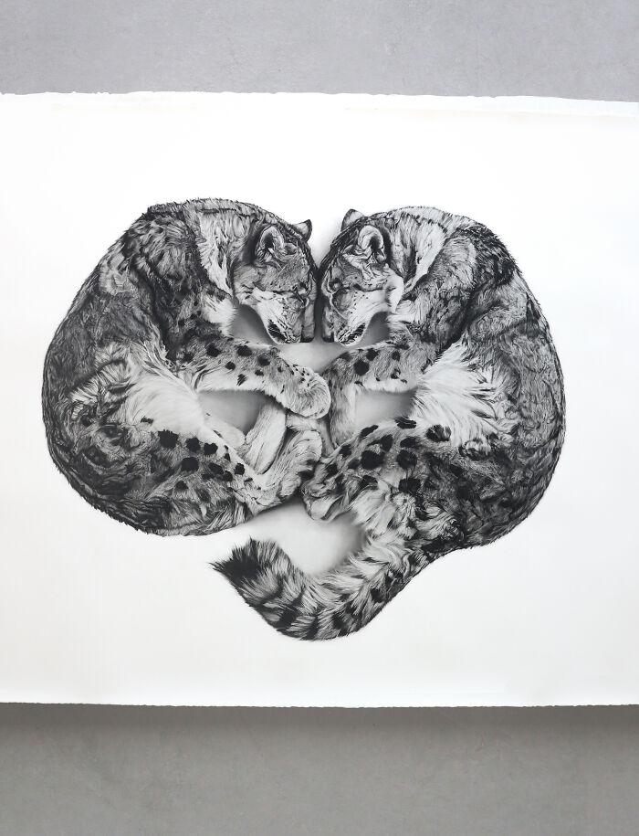 20 Stunning Charcoal Drawings Of Animals Created By A Father-Daughter Duo