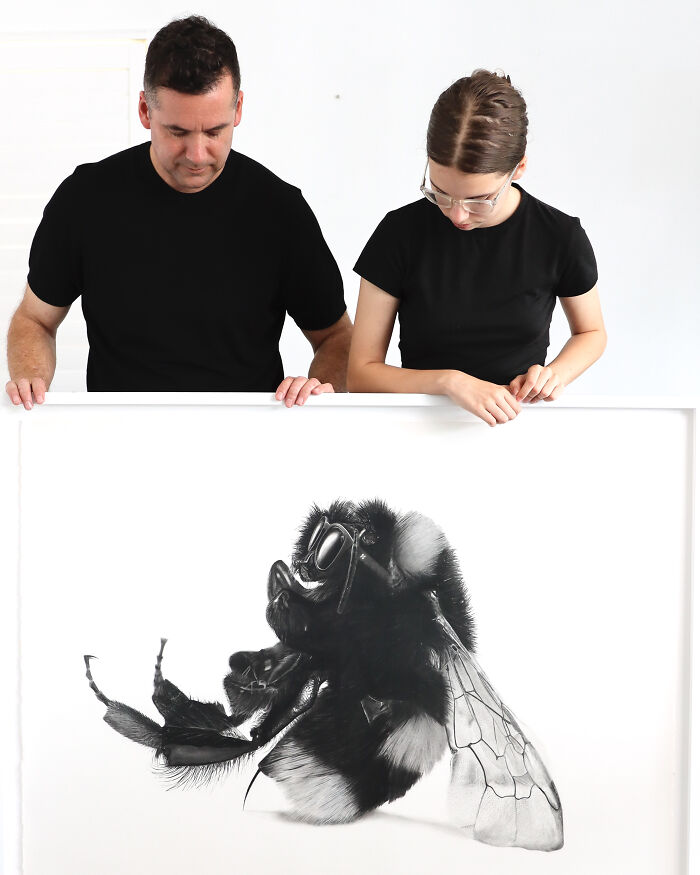 20 Stunning Charcoal Drawings Of Animals Created By A Father-Daughter Duo