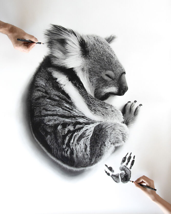 20 Stunning Charcoal Drawings Of Animals Created By A Father-Daughter Duo